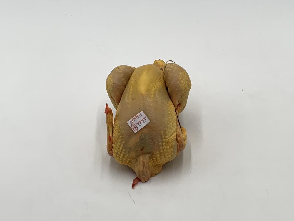 Poulet Fermier PAC de Challans Jaune Label Rouge - SAVIC / 1,8kg