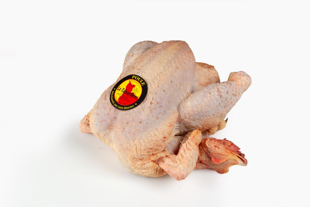 Poule au Sol Effilée  - Nouet & Fils