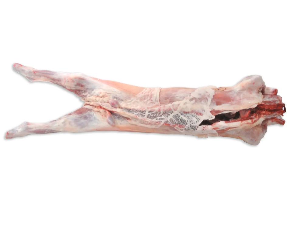 Chevreau x 2 - Loeul et Piriot / 12kg