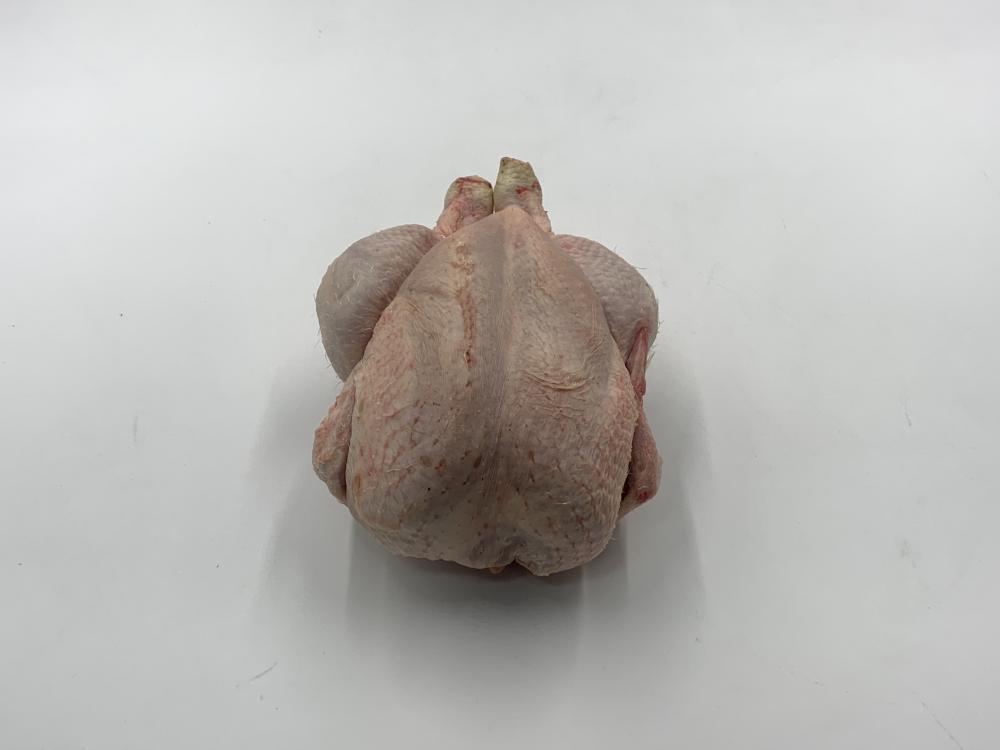 Poulet PAC A blanc nu - SNV / 12 kg