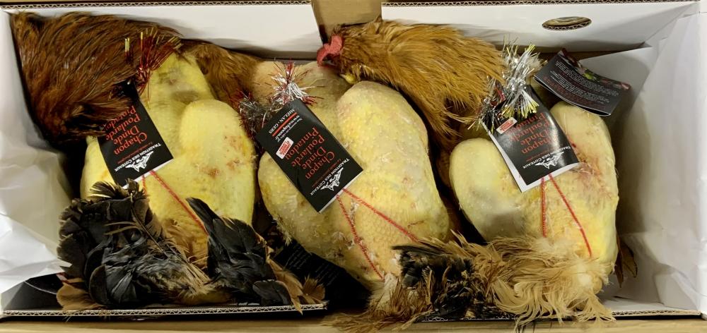 Poularde effilé Tradition des Coteaux