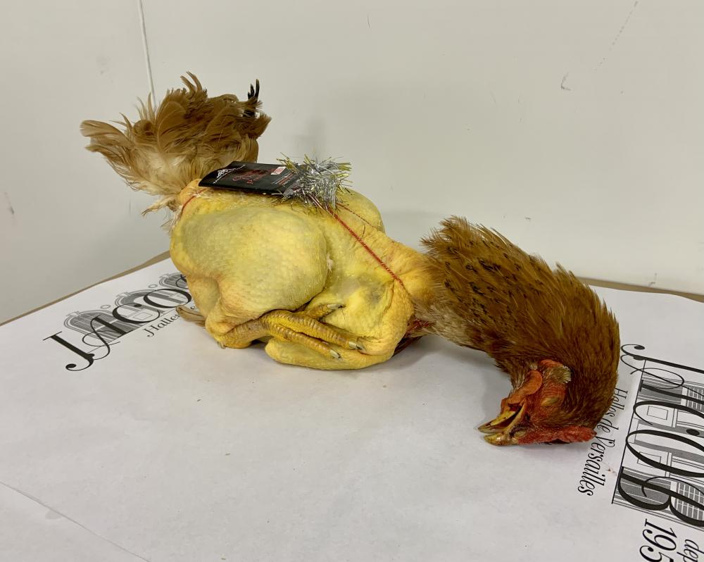 Poularde effilé Tradition des Coteaux